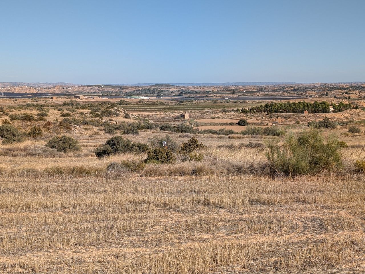 Cereal fields and scrub in the Servet XII landing area, near Chiprana